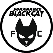 Suranaree Black Cat