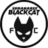 Suranaree Black Cat