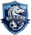Xiangyang Team