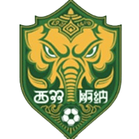 Xishuangbanna Team