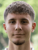 Altin Ibisi