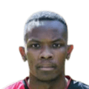 جافين فليتر