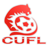 دوري الجامعات الصينية