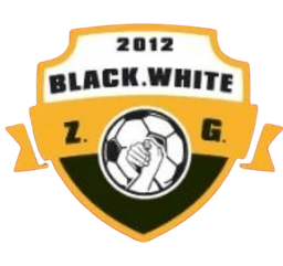 فريق زيغونغ فريق زيغونغ