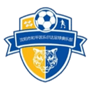 शेनयांग हेपिंगलर U13