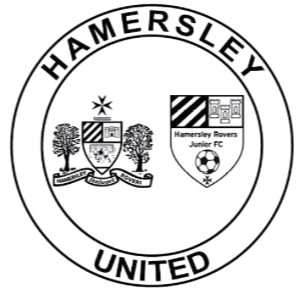 হ্যামারসলে রোভার্স (মহিলা)