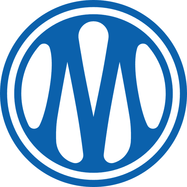 মার্সেই U19