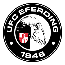 UFC Eferding UFC Eferding