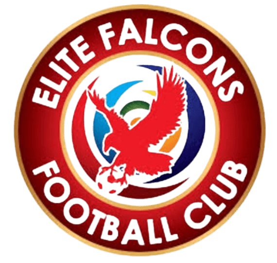 Elite Falcons FC