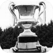 Copa Intermedia de Irlanda del Norte