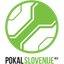 Copa de Eslovenia