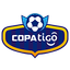 Primera División de Bolivia