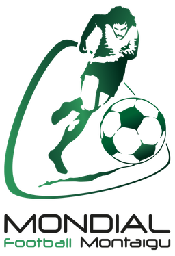 Torneo de Montaigu