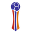 Copa de Armenia