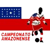 Campeonato Amazonense de Futebol brasileiro