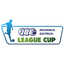 Taça da Liga da Irlanda do Norte