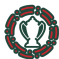 Copa de Excelencia de Marruecos