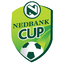 Copa de la Liga de Sudáfrica