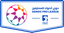 Liga Profesional ADNOC de los Emiratos Árabes Unidos