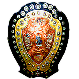 Liga IFA Shield de la India