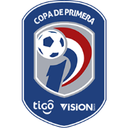 Primera División Paraguaya