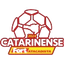 Campeonato Catarinense Primeira Divisão