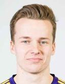 Nikke veikkanen