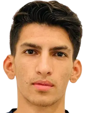 Hamidreza Firouzi