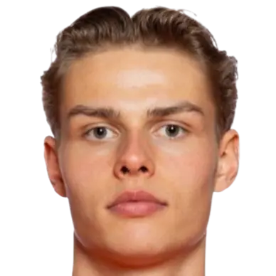 Jens Hjerto Dahl