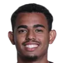 Luiz Fernando Salles De Castro
