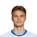 natan niedzwiedz