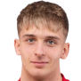 gergo tercza