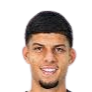 Pedro Henrique Santos Gomes