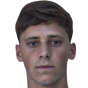 Diego Henrique Borges da Silva