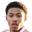 Emerson Nwaneri