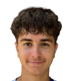 Denis Sahin