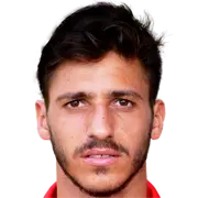 Diogo Manuel Goncalves Coelho