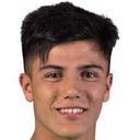 A. Tello