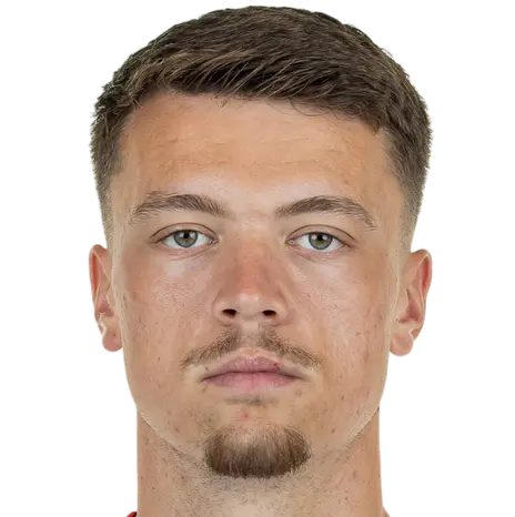 Dzenan Pejcinovic