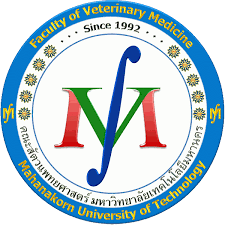 Universidad Mahanakorn