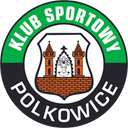 Górnik Polkowice