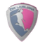ŽNK Ljubljana (femenino)