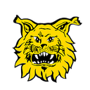 Ilves Juvenil