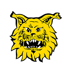 Ilves Juvenil
