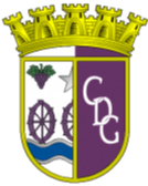 CD Gouveia Sub-19