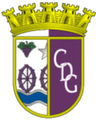 CD Gouveia Sub-19