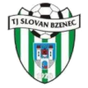 Horní Bříza Horní Bříza