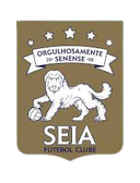 Seia FC U17