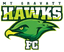 MT Gravatt Hawks