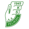 Pelikan Łowicz